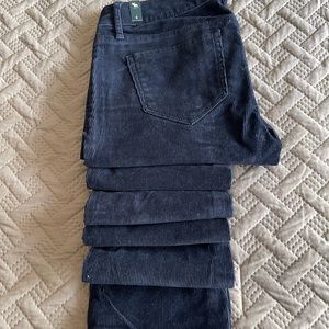 ABERCROMBIE & FITCH PANT